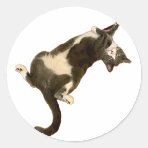 Rond Simon Sticker - Jouer!