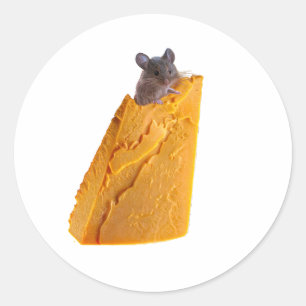 ROND SOURIS ET FROMAGE SUR STICKER