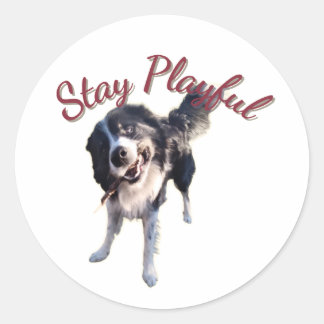 Rond Stay Playful Dog Sticker