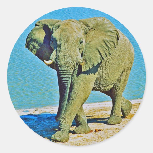 Rond Sticker (Devant)