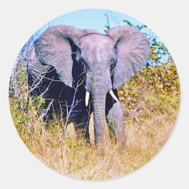 Rond Sticker (Devant)