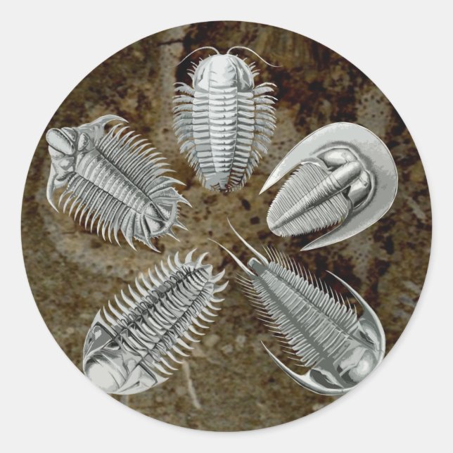 Rond Sticker 5 Trilobites (Devant)