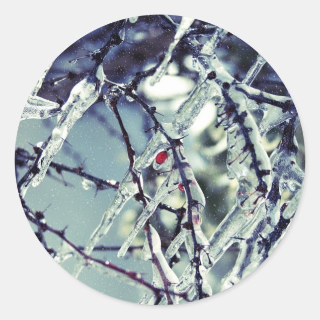 Rond Sticker à baies congelées (Devant)