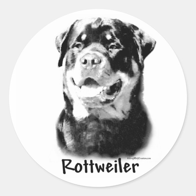 Rond Sticker à charbon Rottweiler (Devant)