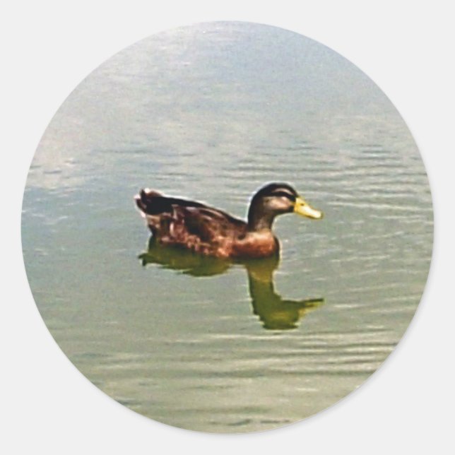 Rond Sticker à enveloppe de canard (Devant)