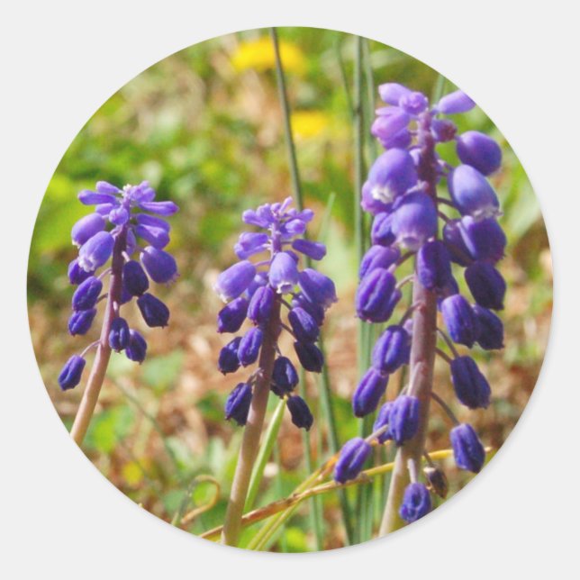 Rond Sticker à fleurs à bulles violettes (Devant)