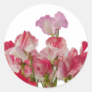 Rond Sticker à fleurs de pois doux