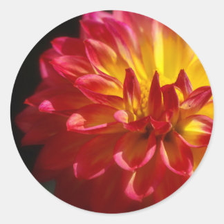 Rond Sticker à fleurs dynamique