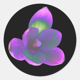 Rond Sticker à fleurs Mystic Beauty Crocus