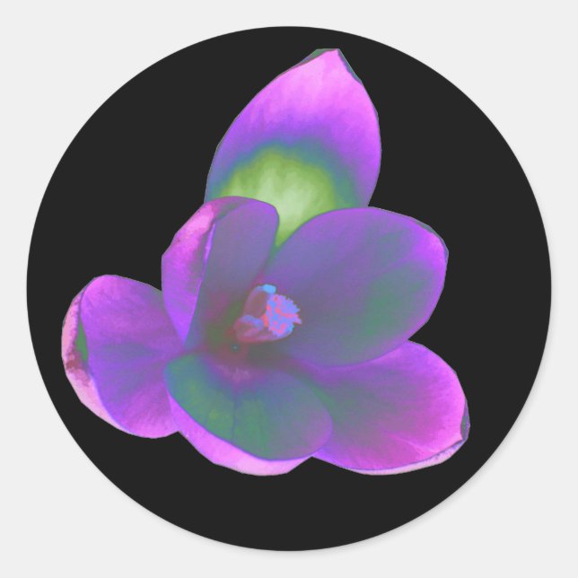 Rond Sticker à fleurs Mystic Beauty Crocus (Devant)