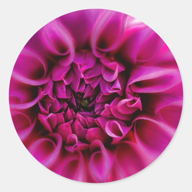 Rond Sticker à fleurs roses (Devant)