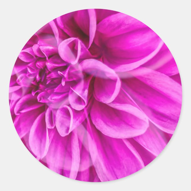 Rond Sticker à fleurs roses (Devant)