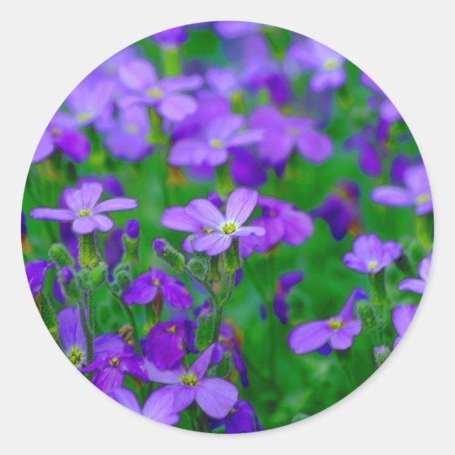 Rond Sticker à fleurs violettes (Devant)