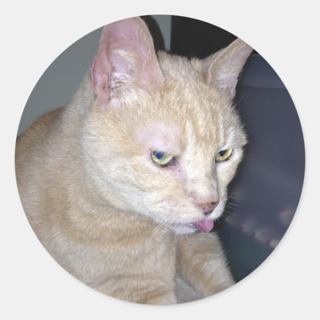 Rond Sticker à framboise puant (Devant)