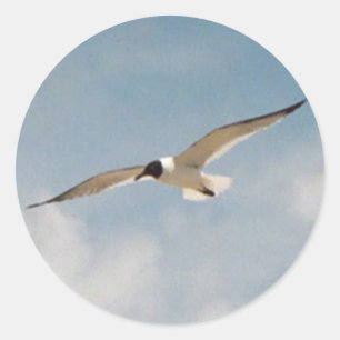 Rond Sticker à glissière Seagull