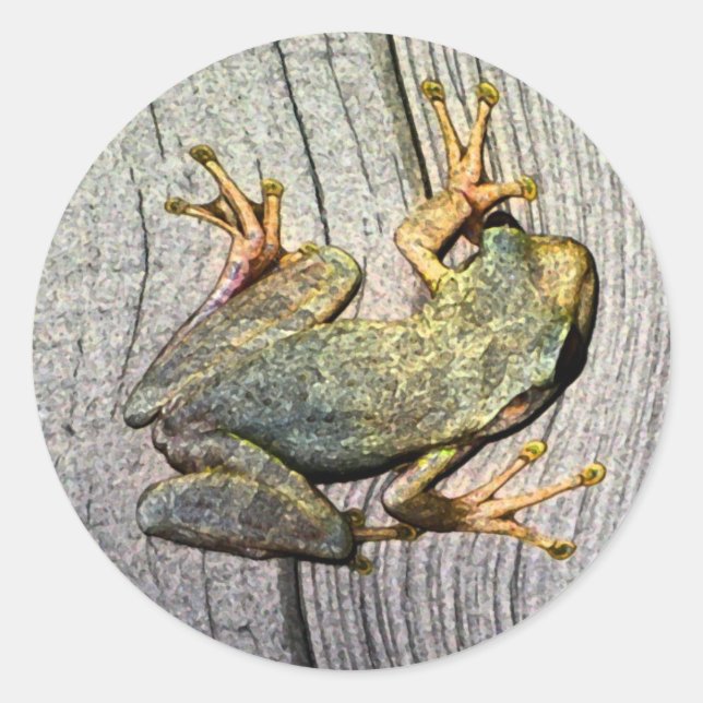 Rond Sticker à la grenouille (Devant)