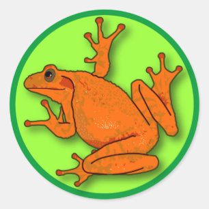 Rond Sticker à la grenouille orange