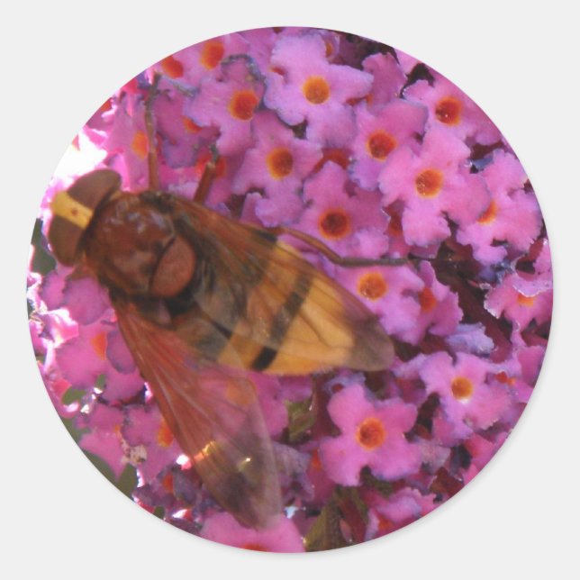 Rond Sticker à mouche (Devant)