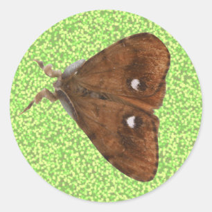 Rond Sticker à papillon