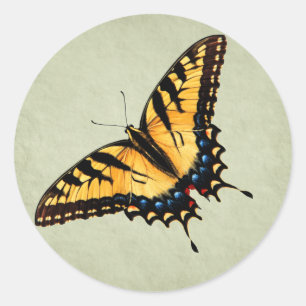 Rond Sticker à papillon Swallowtail