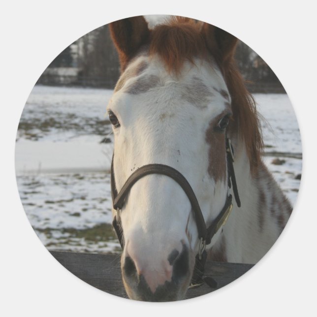 Rond Sticker à peinture (Devant)