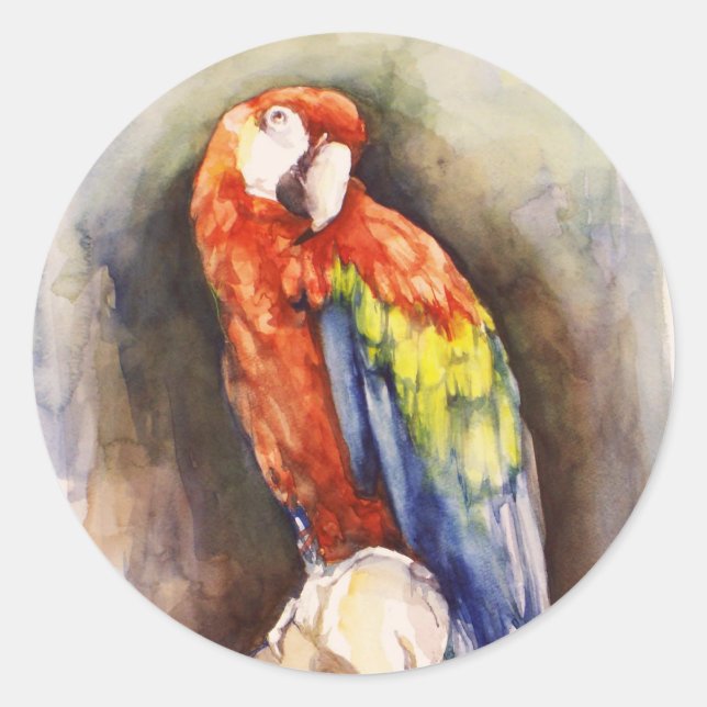 Rond Sticker à perroquets précieux (Devant)