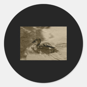 Rond Sticker à pinces pour canard à sifflement complet