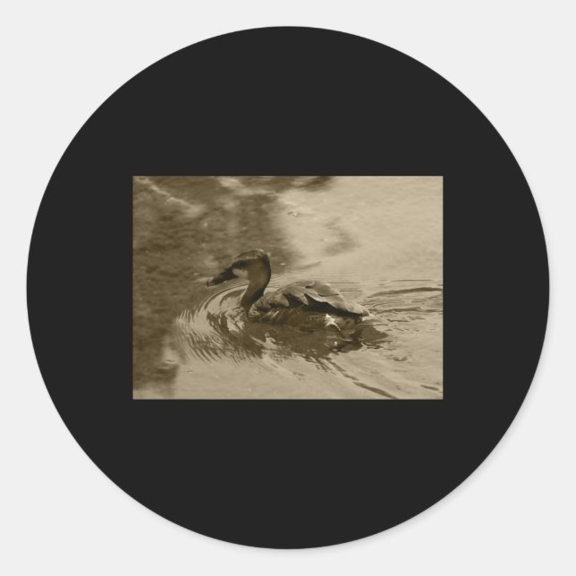Rond Sticker à pinces pour canard à sifflement complet  (Devant)