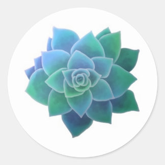 Rond Sticker à succulents ronds aquarelle
