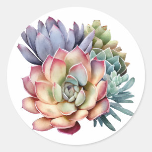 Rond Sticker À Thème Succulent