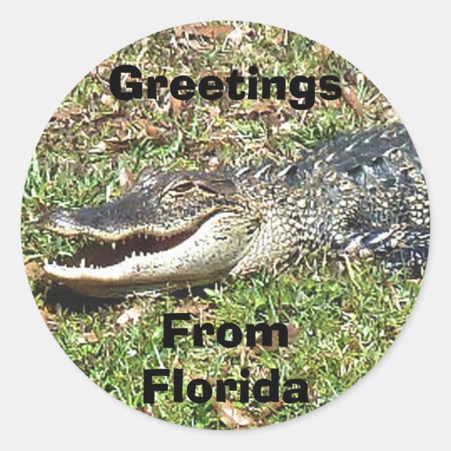 Rond Sticker Alligator Floride Salutations De Floride (Devant)