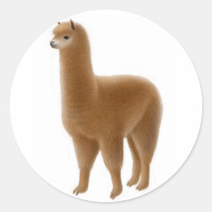 Rond Sticker Alpaca brun convivial