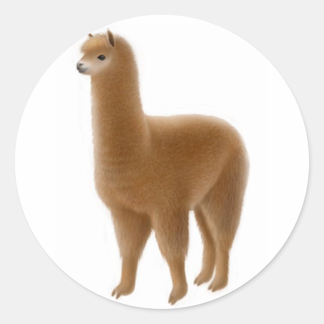 Rond Sticker Alpaca brun convivial (Devant)