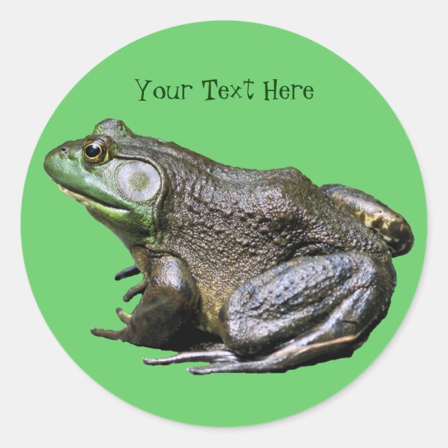 Rond Sticker animal Big Old Bullfrog (Devant)
