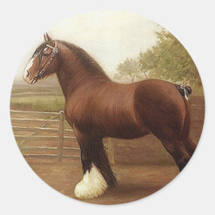 Rond Sticker Antique Bay Clydesdale Draft Horse Parade