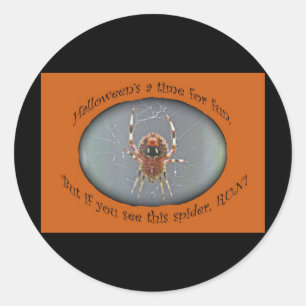 Rond Sticker Araneus Orb Weaver Spider Halloween