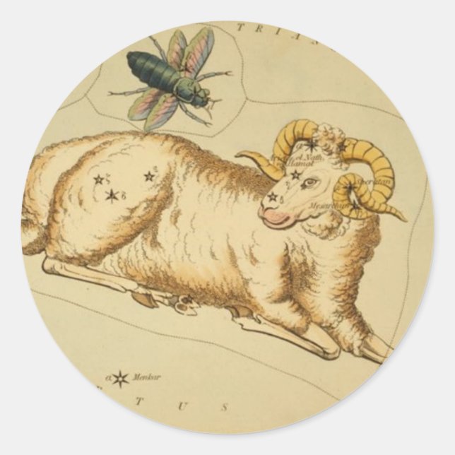 Rond Sticker Aries (Devant)