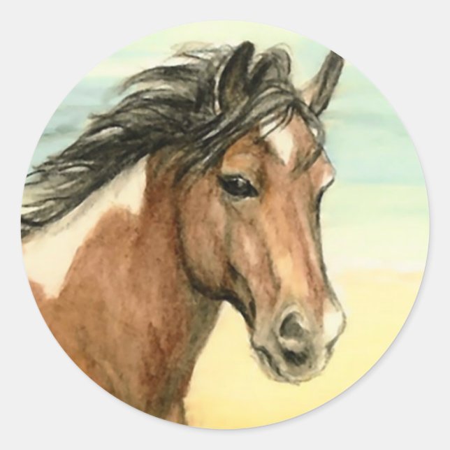 Rond Sticker "Assateague Pony" (Devant)