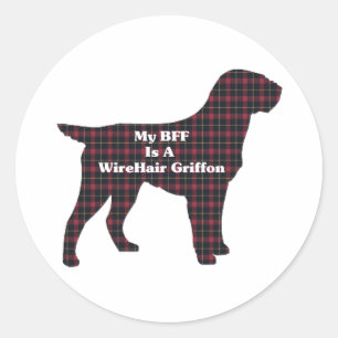 Rond Sticker BFF Griffon Pointeur à poils durs