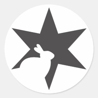Rond Sticker Black Star