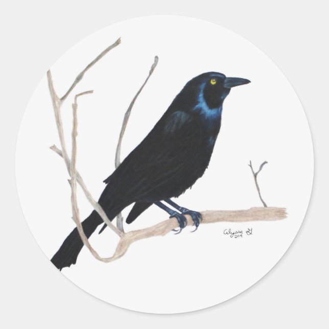 Rond Sticker Blackbird (Devant)