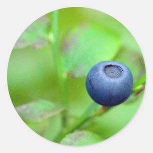Rond Sticker Blueberry