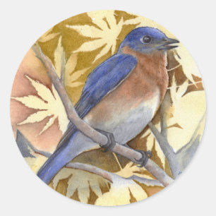 Rond Sticker Bluebird