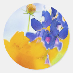 Rond Sticker Bluebonnet