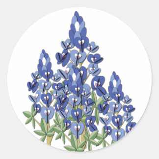 Rond Sticker Bluebonnet