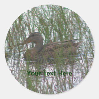 Rond Sticker Brown Duck Nature