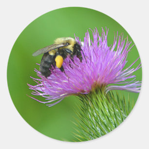 Rond Sticker Bumblebee