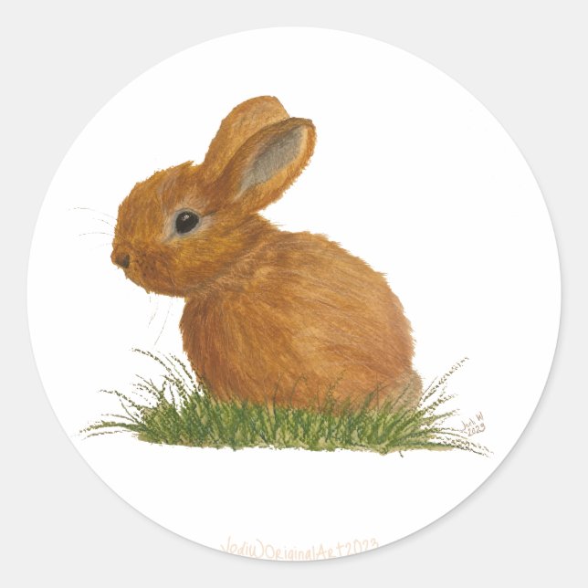 Rond Sticker Bunny Brown (Devant)
