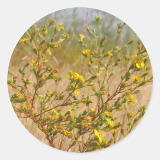 Rond Sticker Bush Fleurs Jaunes