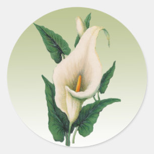 Rond Sticker Calla Lilies